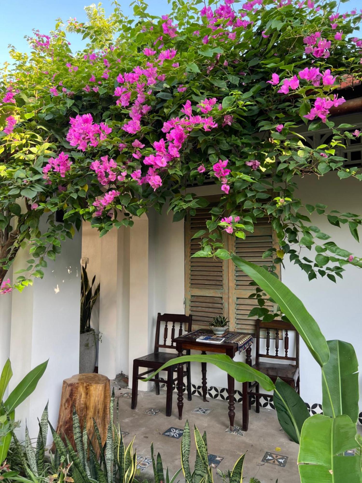 Thom'S House Hotel Ninh Binh Exterior photo