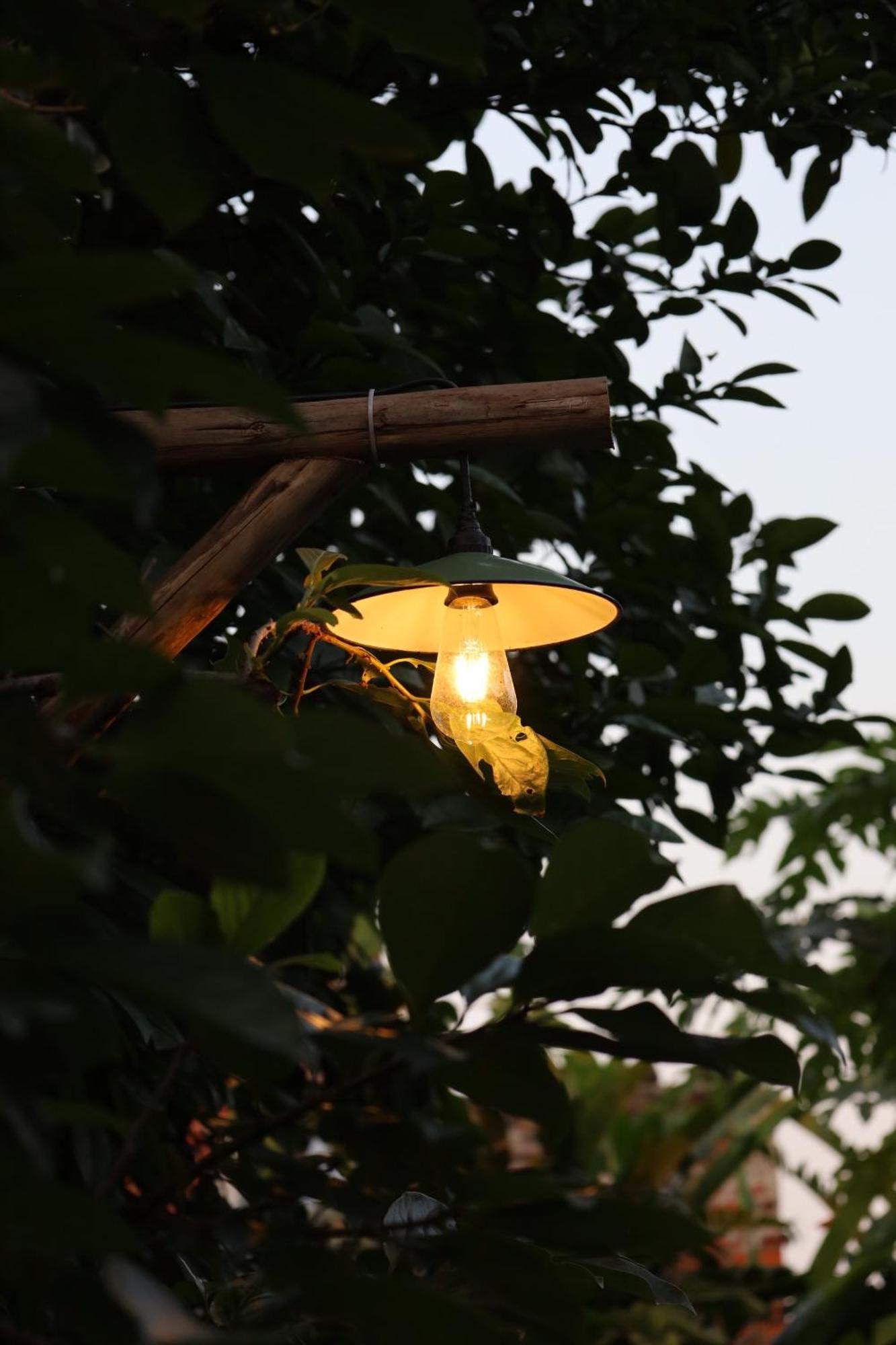 Thom'S House Hotel Ninh Binh Exterior photo